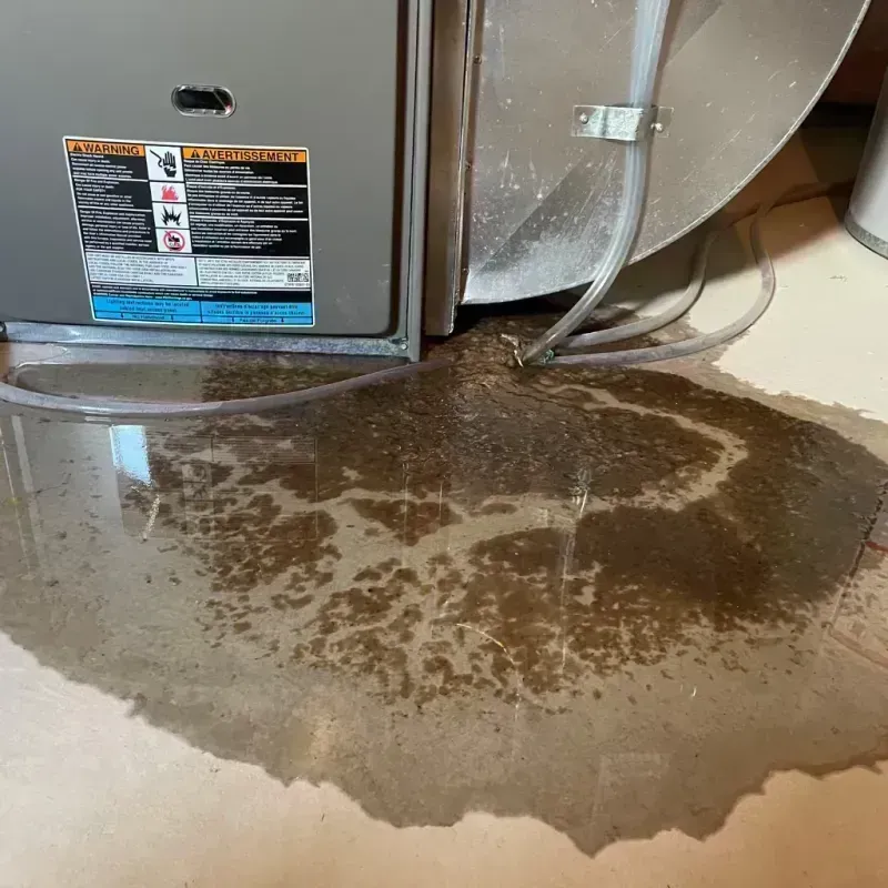 Appliance Leak Cleanup in Lafayette, CO